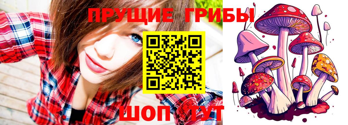 Псилоцибиновые грибы Psilocybine cubensis Иркутск