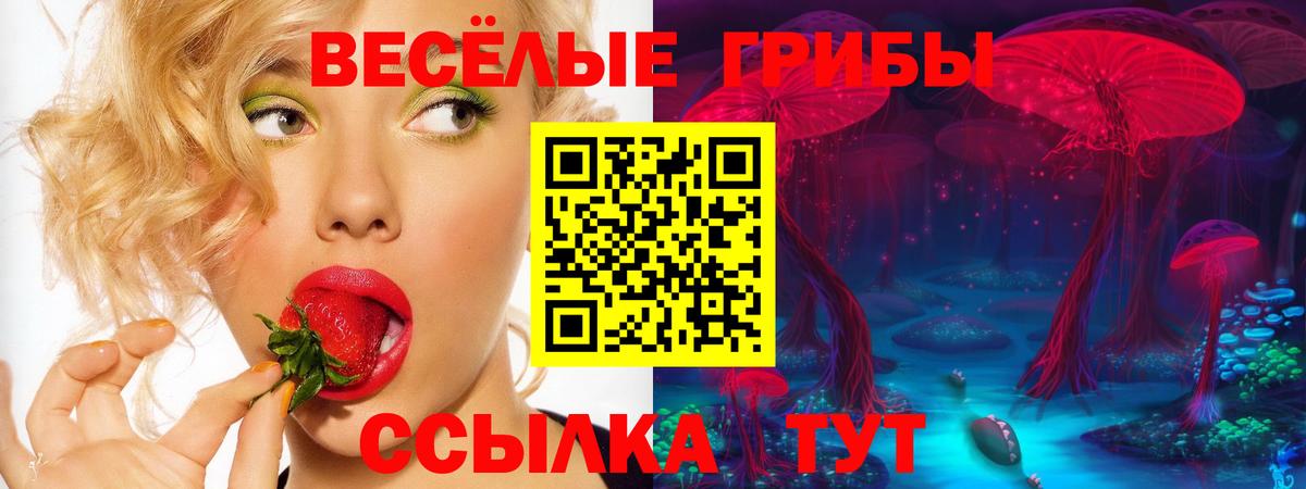 Иркутск  Псилоцибиновые грибы ЛСД  Вход с VPN 